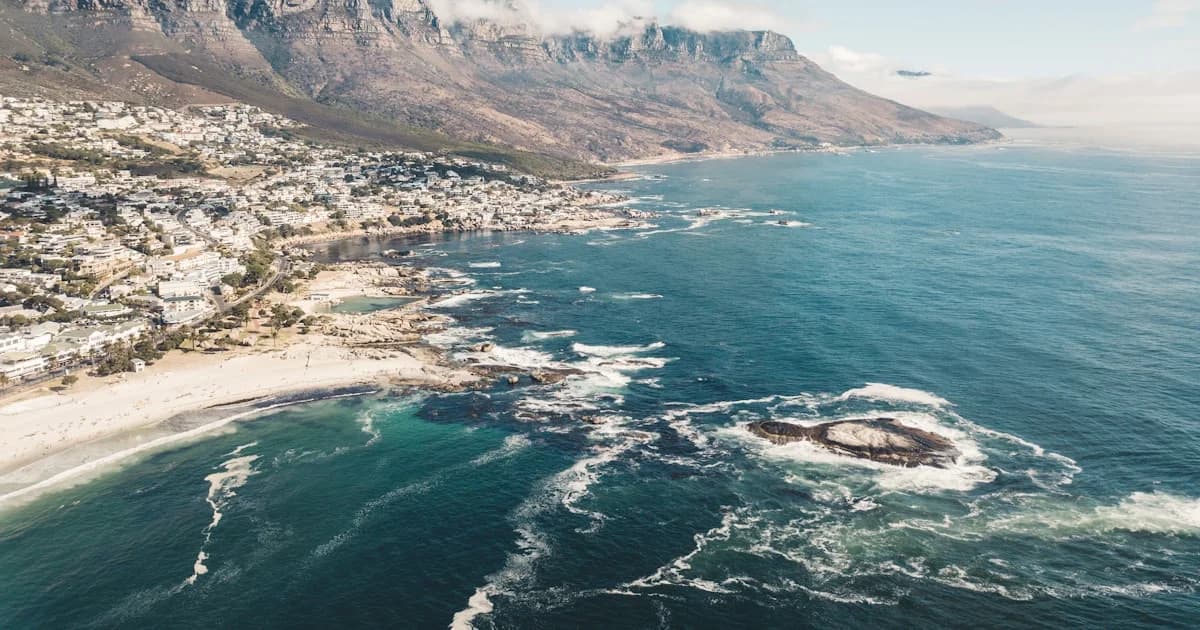 aerial view photography of seashore
